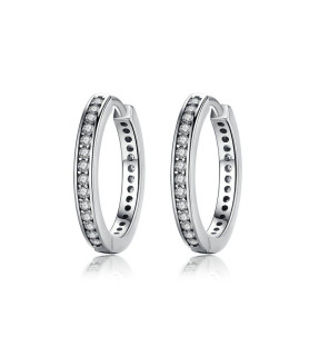 Silver earrings Elegant