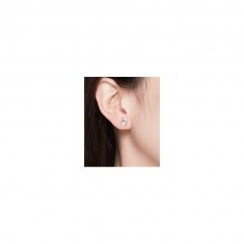 Silver earrings Studs