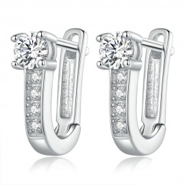 Silver earrings Luxurious
